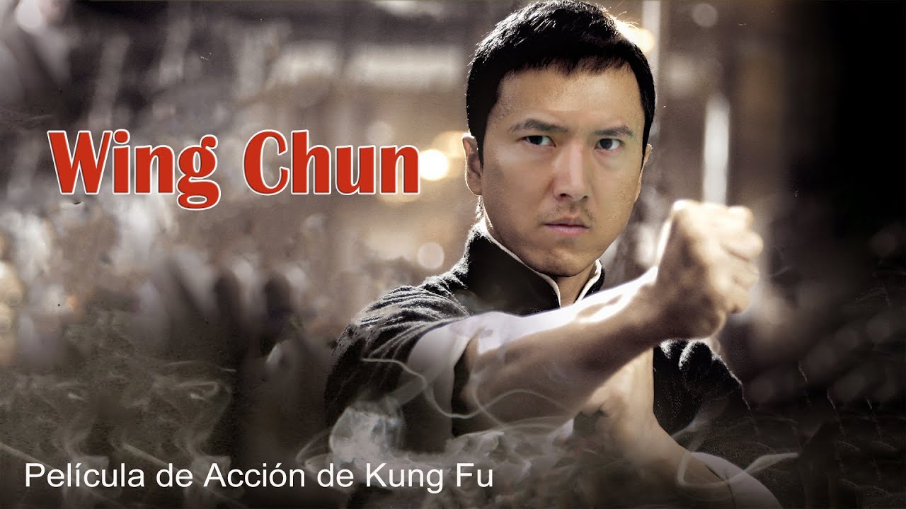 Kung fu en acción